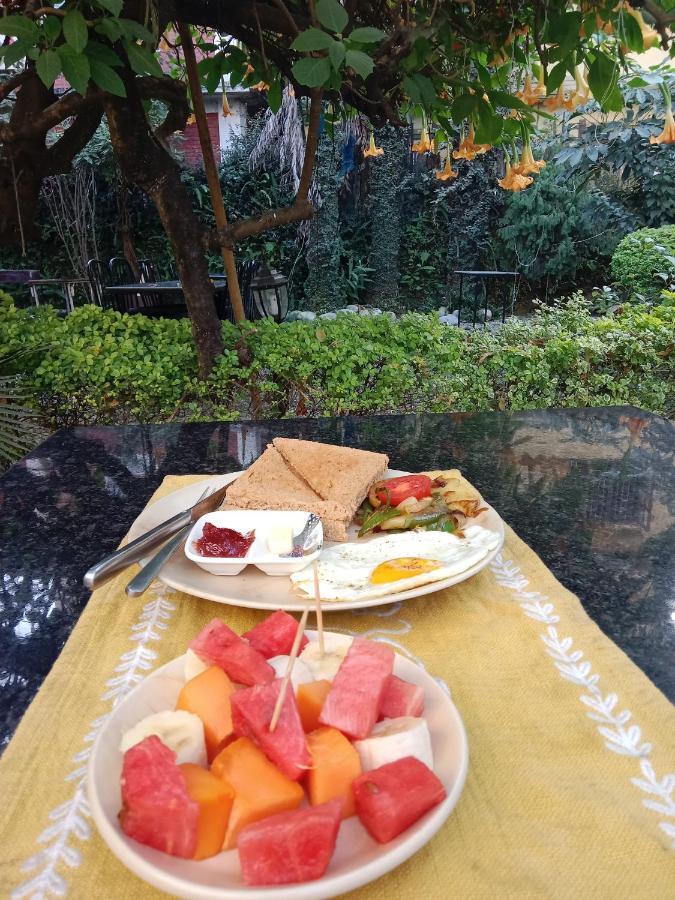 Hotel Lotus Garden Катманду Экстерьер фото