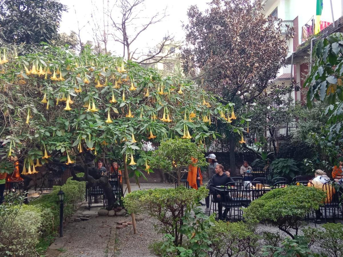 Hotel Lotus Garden Катманду Экстерьер фото